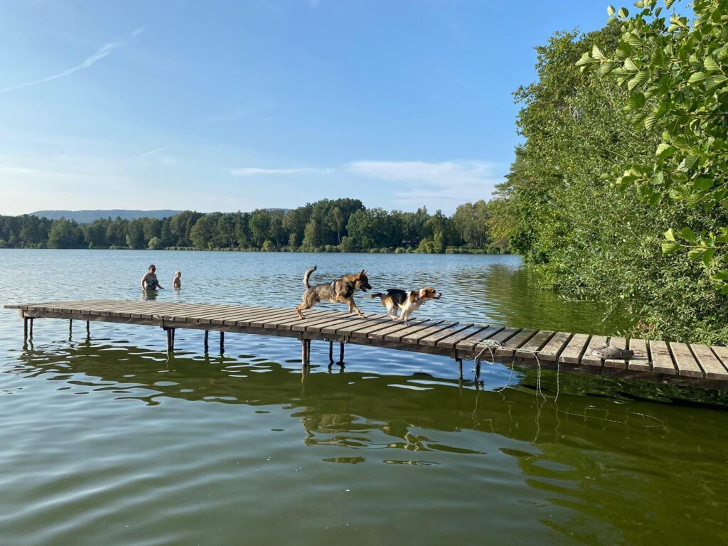 Majoránka, bíglička z laboratoře, zdraví z dovolené....❤️