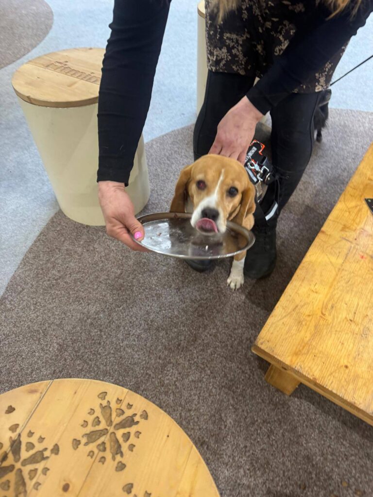 Děkujeme za vaši návštěvu na For Pets, rádi jsme vás viděli