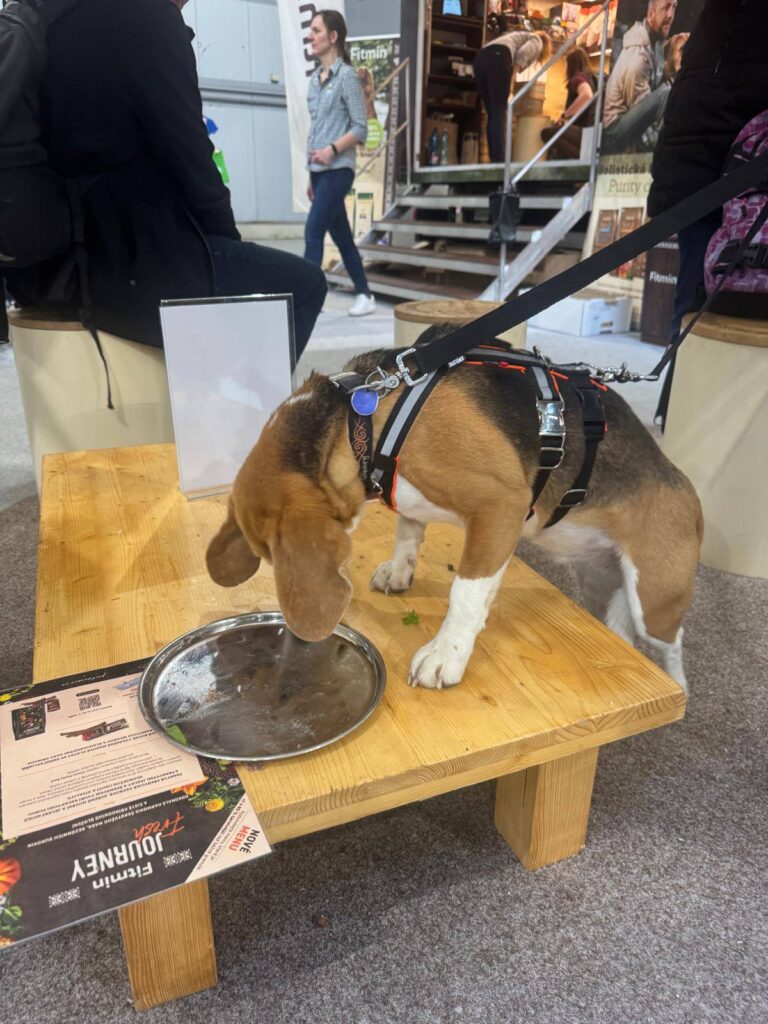 Děkujeme za vaši návštěvu na For Pets, rádi jsme vás viděli