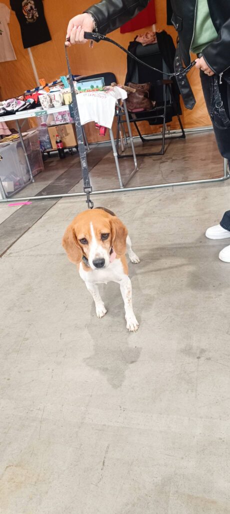Děkujeme za vaši návštěvu na For Pets, rádi jsme vás viděli
