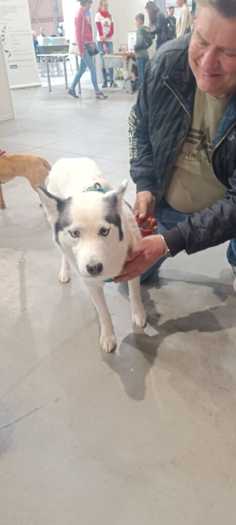 Děkujeme za vaši návštěvu na For Pets, rádi jsme vás viděli