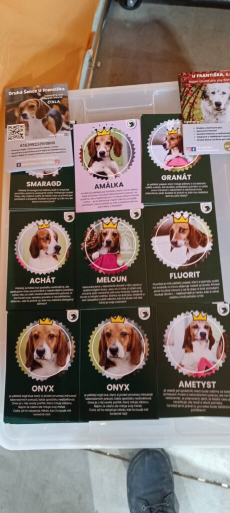 Děkujeme za vaši návštěvu na For Pets, rádi jsme vás viděli