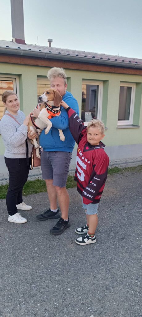 Do adopce odjeli tři bíglíčci z laboratoře – Melounek, Smaragd a večer Magnetit….hodně štěstí!
