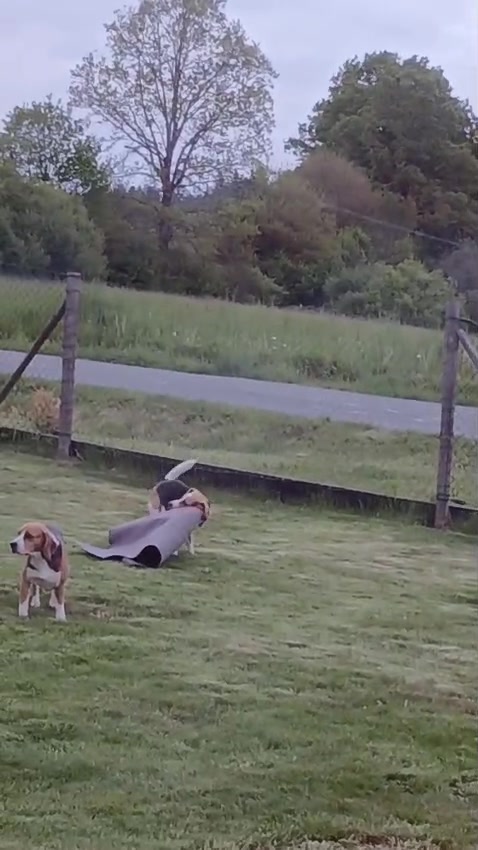 Tak jo…Billy už uklízí