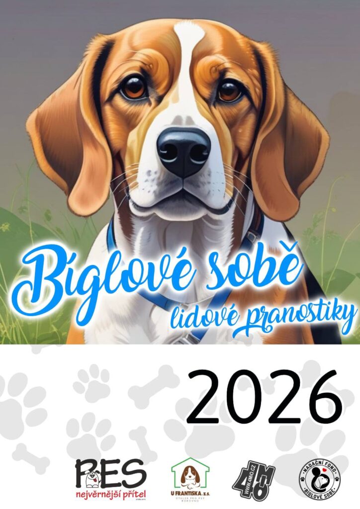 ážení milovníci bíglů, dovolte představit charitativní bíglí Československý kalendář pro rok 2026, kterého jsme partnerem