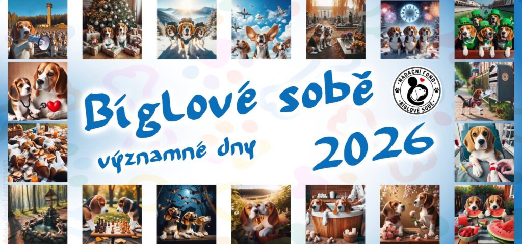 ážení milovníci bíglů, dovolte představit charitativní bíglí Československý kalendář pro rok 2026, kterého jsme partnerem