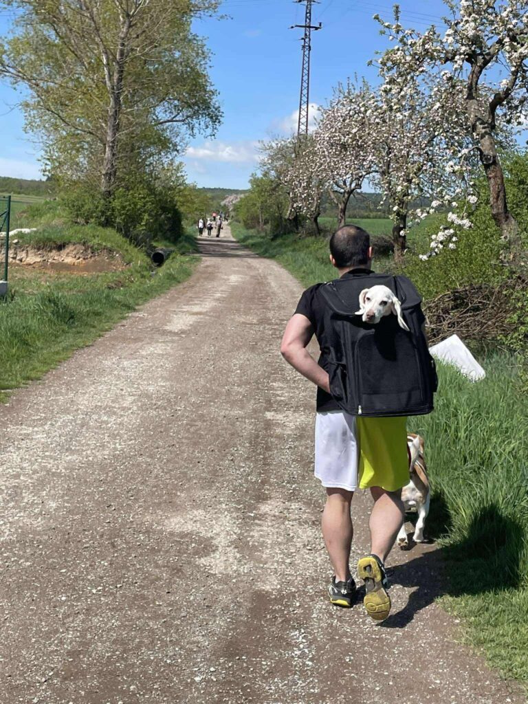 Zdraví Bonnie, bíglí babička z Bígl v nouzi