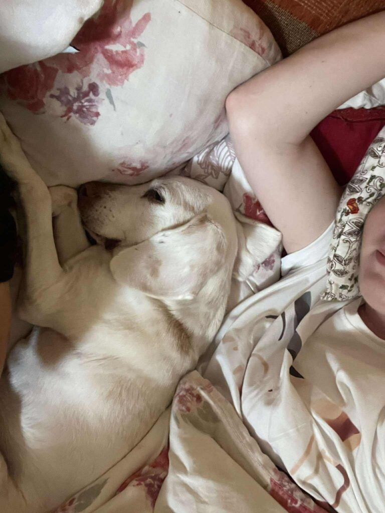 Zdraví Bonnie, bíglí babička z Bígl v nouzi