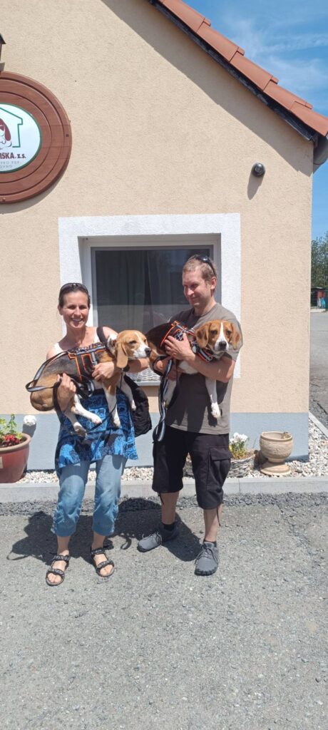 Víkend ve znamení adopcí
