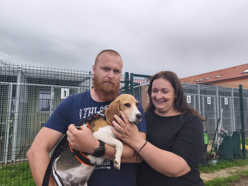 Včera odjela do svého "doma" Cora, bíglička z laboratoře