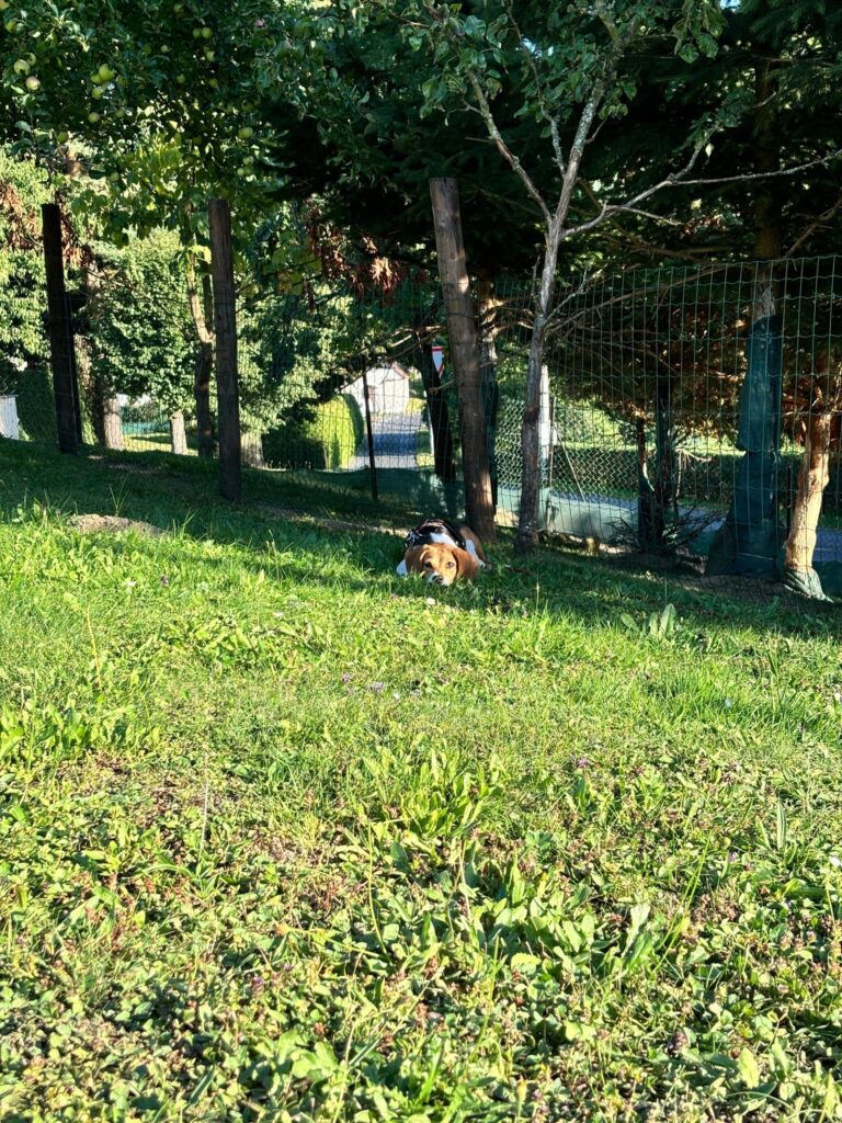 alší bígličkou z laboratoře, která odjela domů, je Jecki