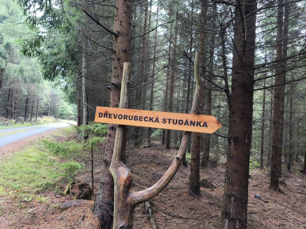 Ze sobotního svatováclavského setkání laboratorních bíglíků
