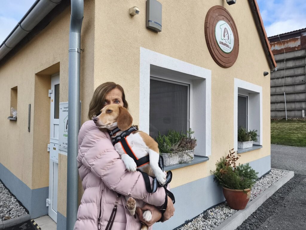 Domů odjela druhá bohyňka, Artemis, bíglička z laboratoře